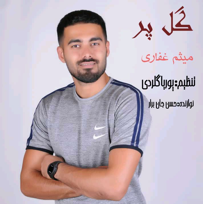 دانلود آهنگ گل پر میثم غفاری